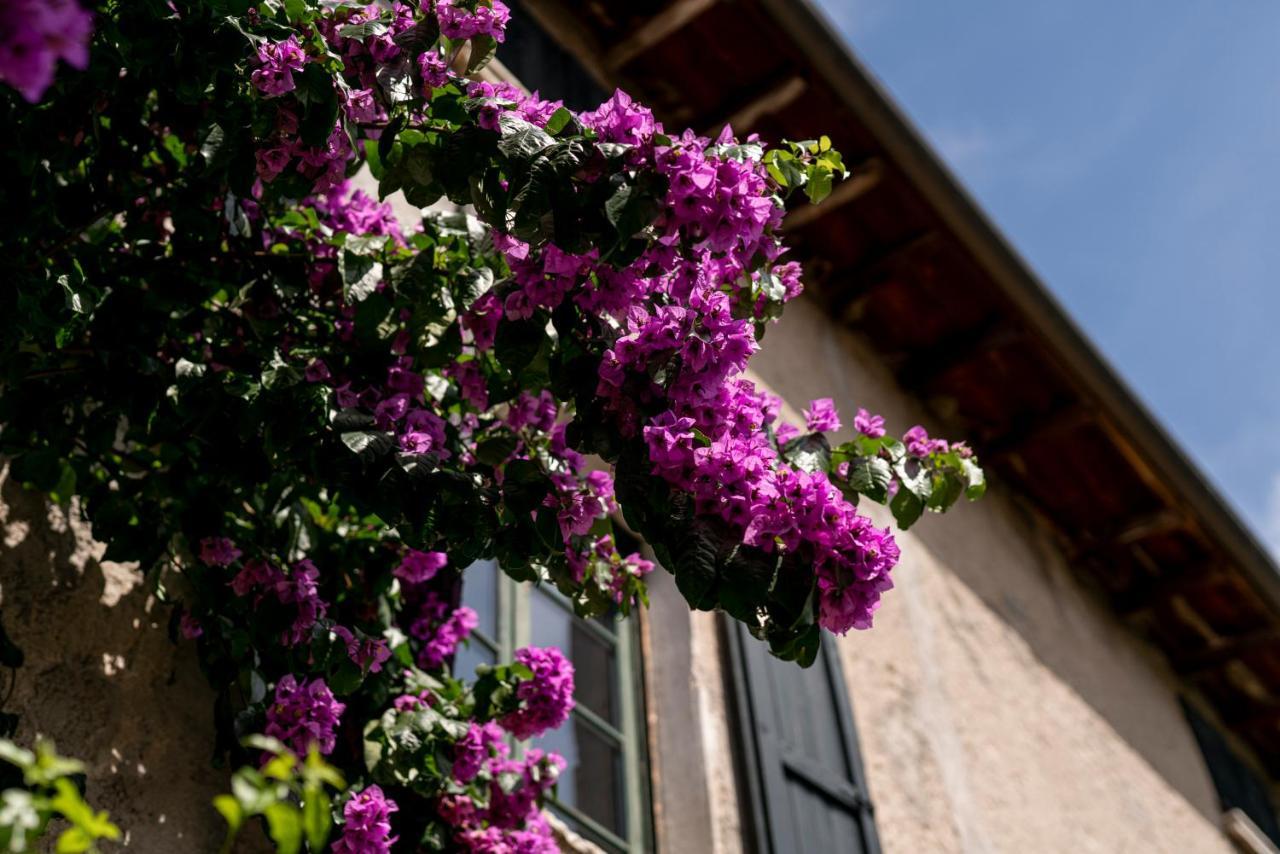 Agriturismo Le Chiusure San Felice del Benaco Luaran gambar